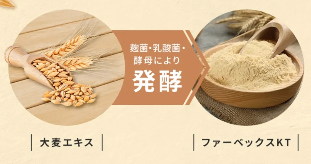 ファーベックスKT